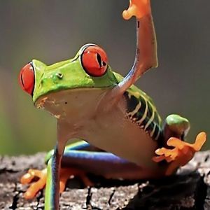 Meet your Posher, Keith